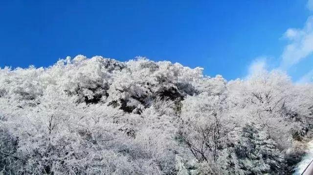 果然不出所料!几天内赖清德连遭重挫,紧急喊话大陆,华春莹发话