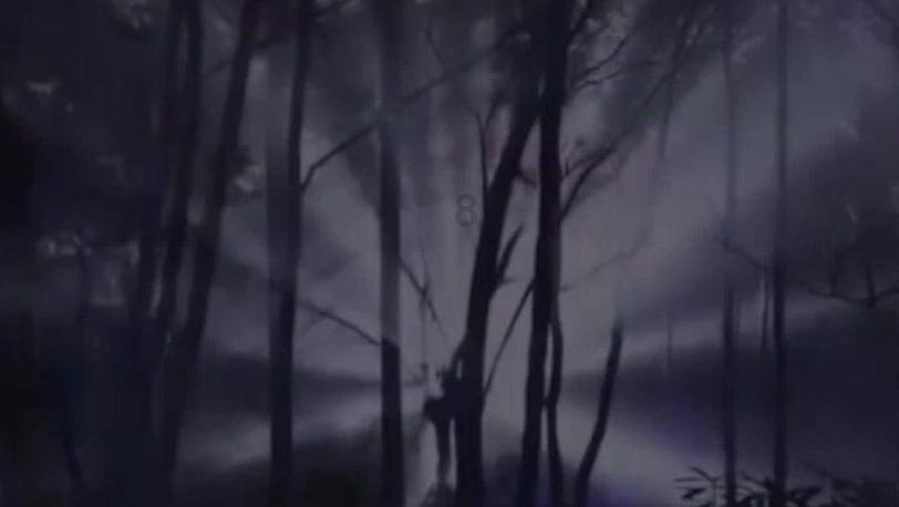移动的滚轮