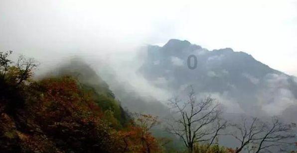动物帮帮忙保卫家园