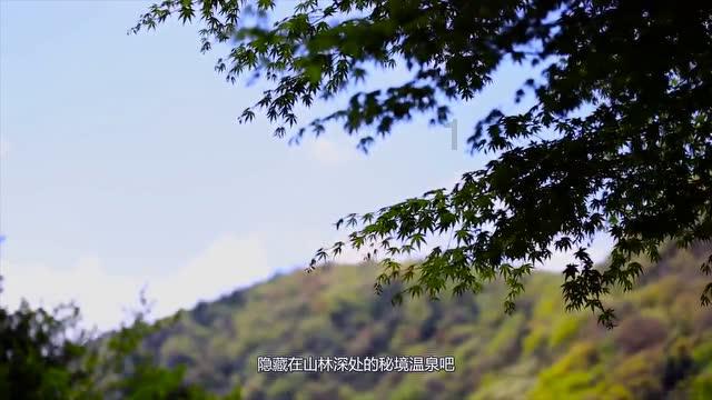 时尚可爱的准妈妈