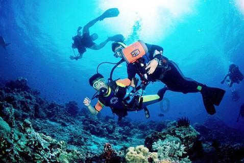 阳江：强冷空气今天到货 最低温为8℃