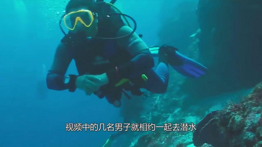 春雨直播app