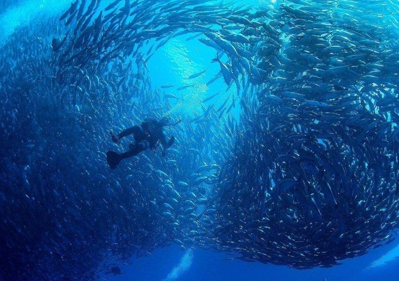 莱曼忆阿森纳不败赛季:我的表现稳定可靠,很高兴曾是其中一员