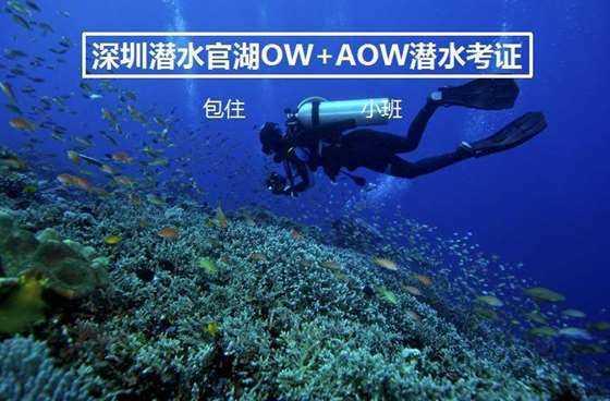 龙虎榜 |中华企业上涨10.13%,知名游资中信西安朱雀大街买入416.01万元