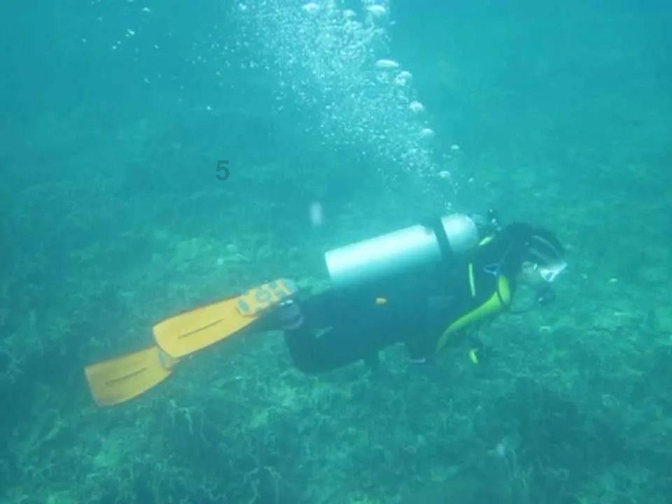 李强会见日本经济界访华团