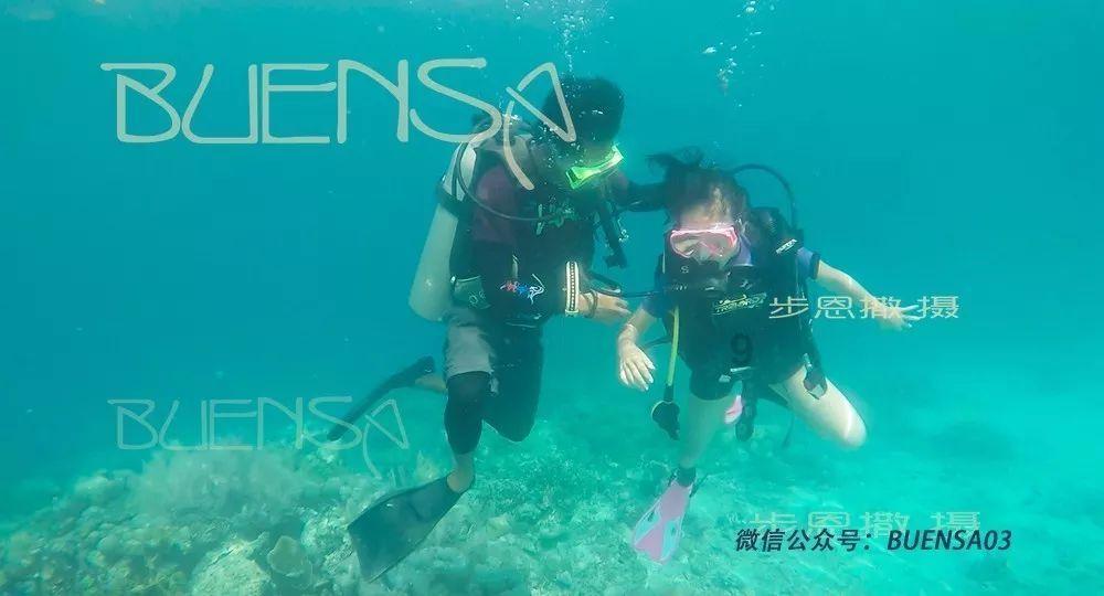 逃离马儿森林