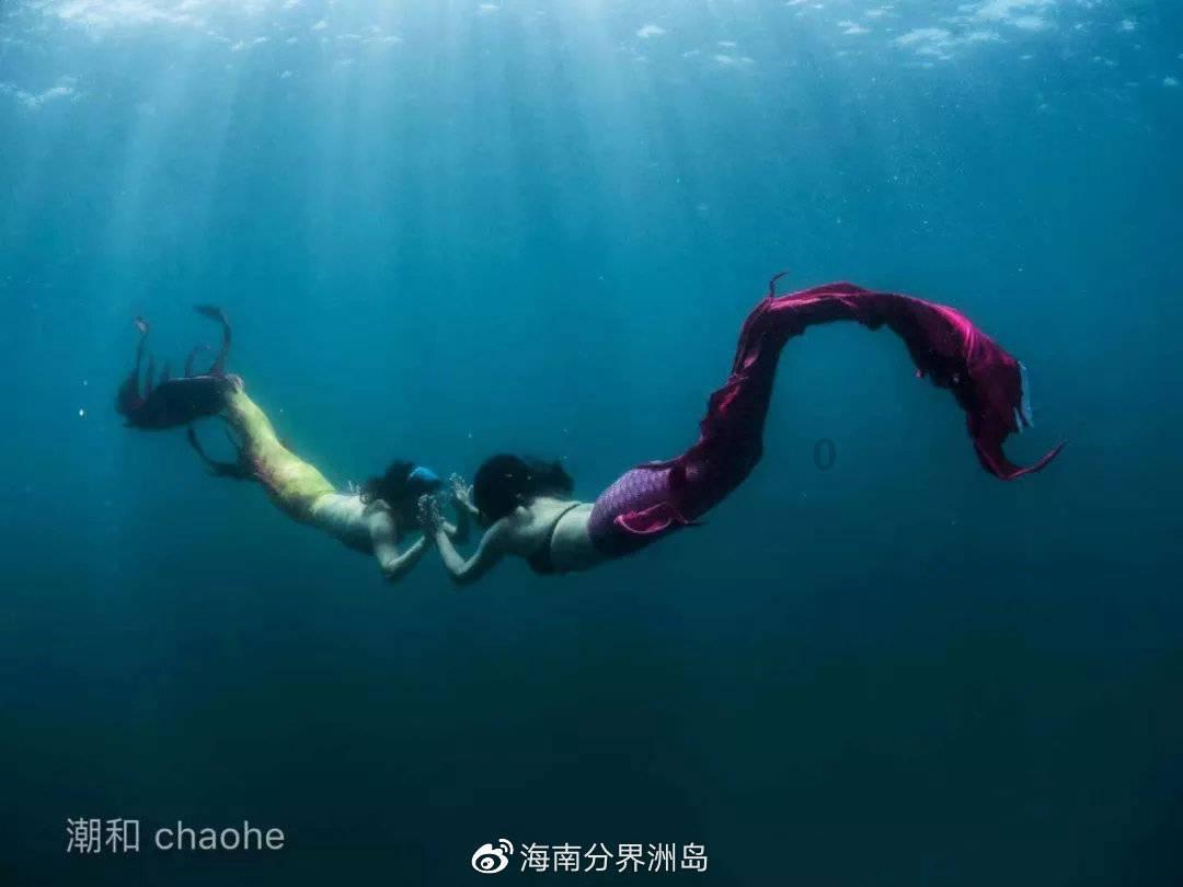 百度又被骂上热搜了