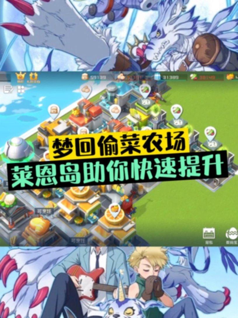 秘密的手稿