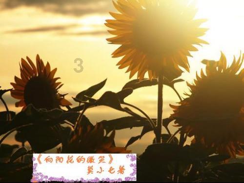 win7网络连接禁用后怎么启用游戏画面