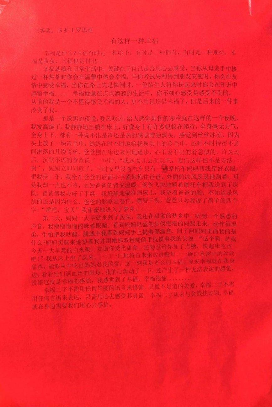 疯狂的小偷