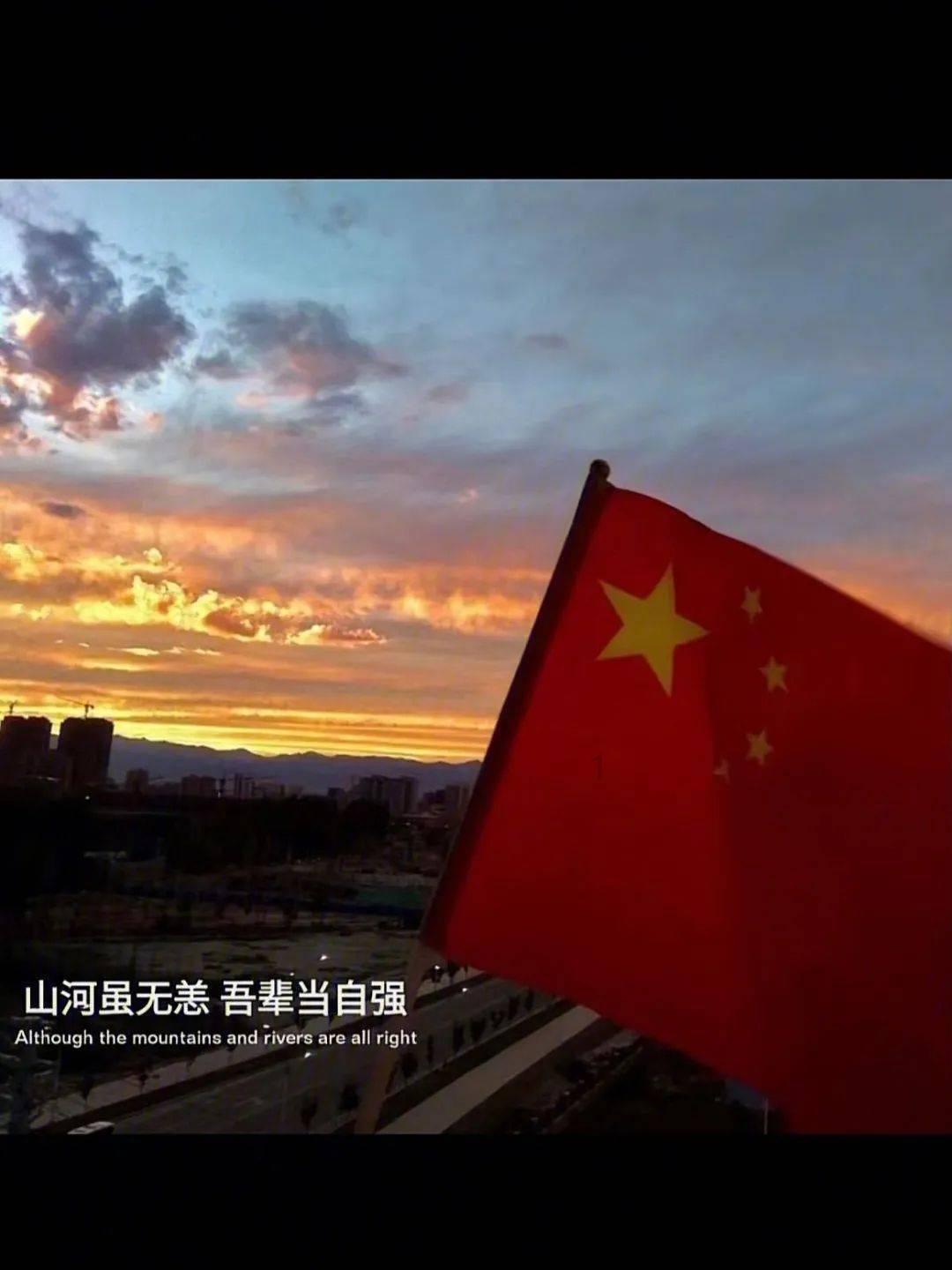 救援非洲金猫