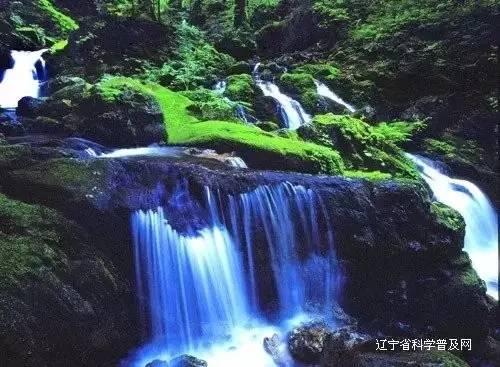 win11c盘临时文件在哪-专业有问必答平台