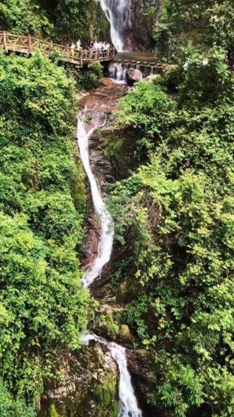 燃烧吧大脑免广告最新版