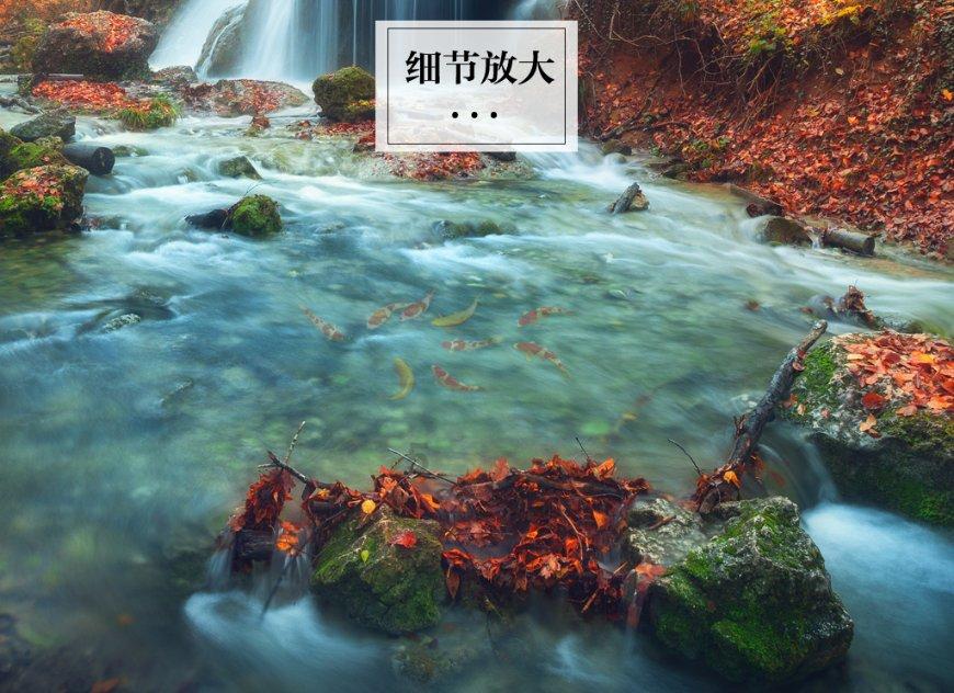 一个承诺