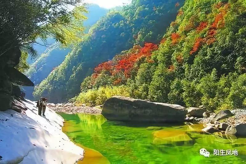 网络公司逃脱
