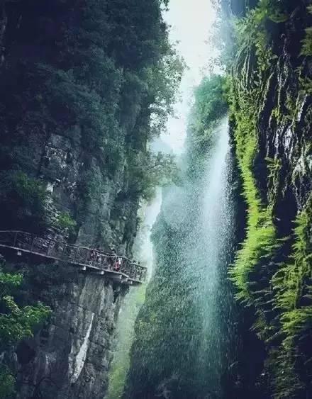 逃离阴森的岛屿