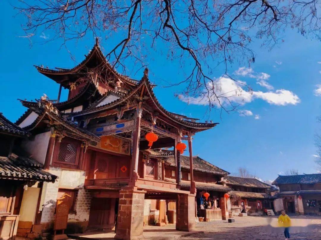 我国特有物种！重庆地下河现神秘巨无霸蝌蚪，为何反倒会越长越小？