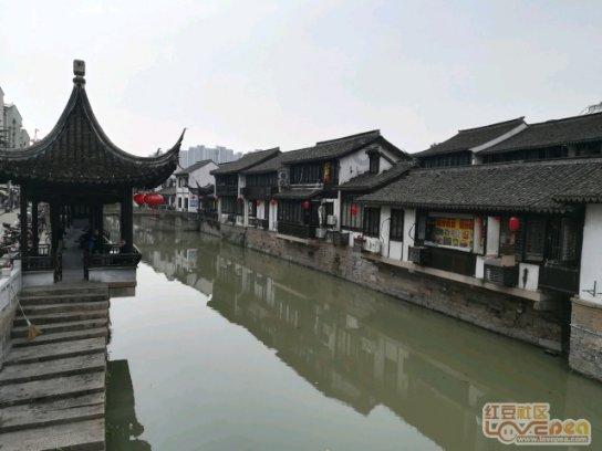逃离棕榈树森林