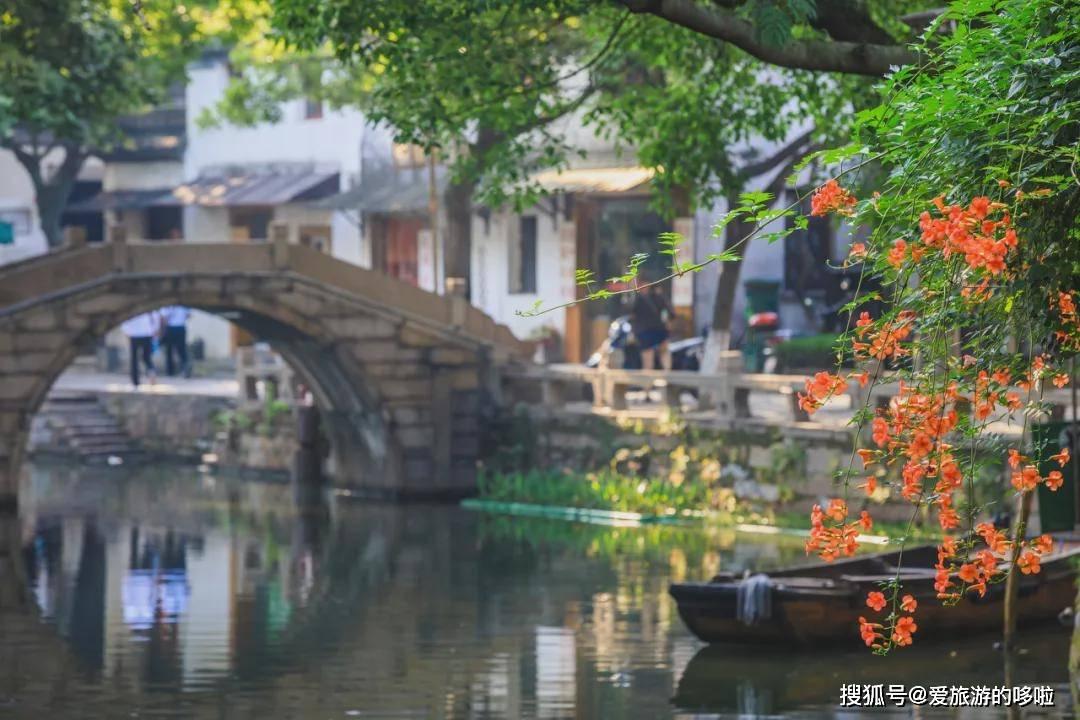 苏菲亚的婚纱