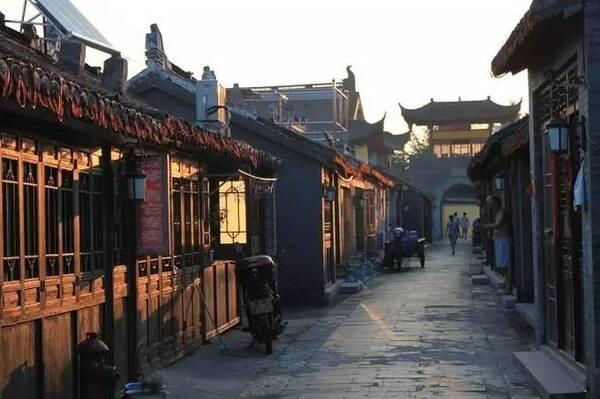 狗狗被扔在路边,淋着雨一脸无辜相,宠主:看你还敢拆家不?