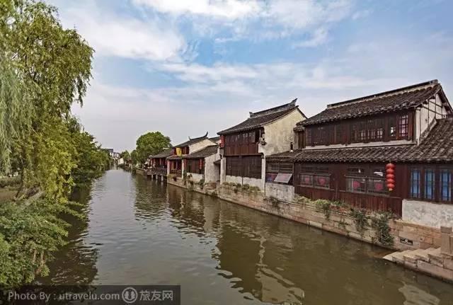 养什么狗好 适合家养-最全面的交流社区